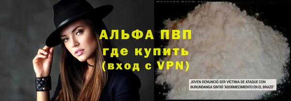 PSILOCYBIN Беломорск