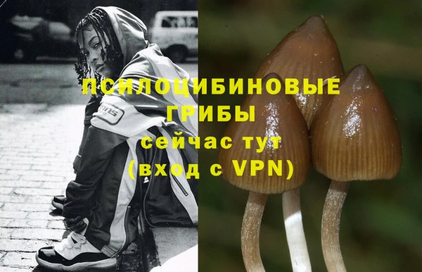 меф Белокуриха