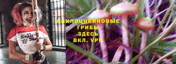 PSILOCYBIN Беломорск