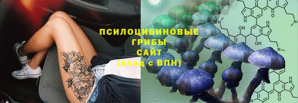 PSILOCYBIN Беломорск