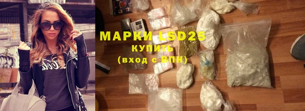 PSILOCYBIN Беломорск
